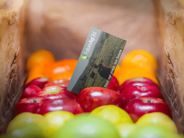 business-card-on-fruits-2234 business-card-on-fruits-2234