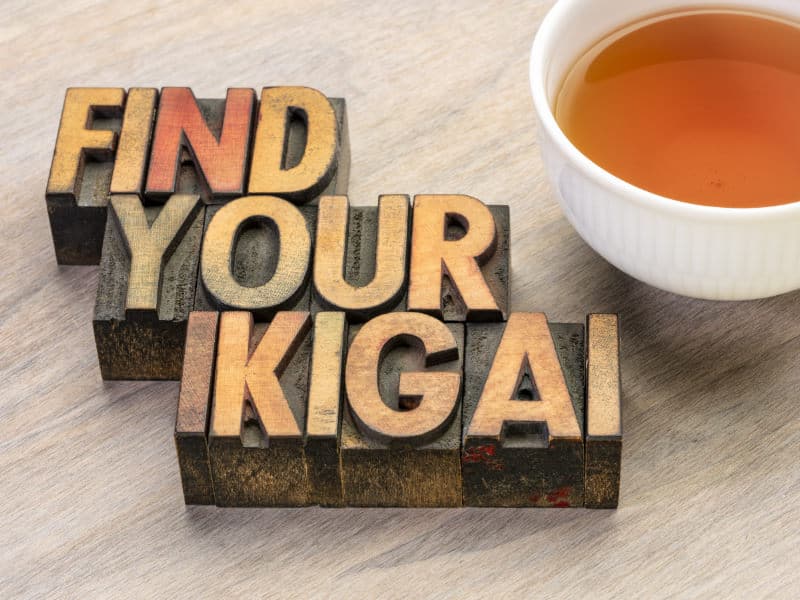 ikigai concept find your ikigai